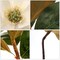 12-Inch Silk Magnolia Pick for Rustic Floral Arrangements and Decor